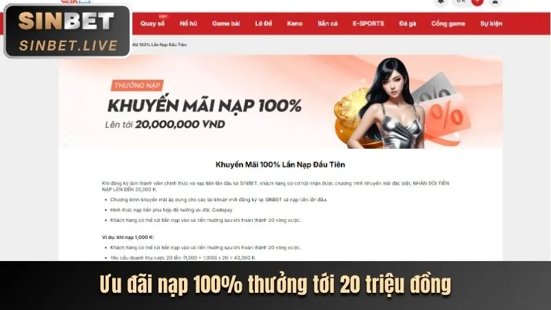 Lợi ích khi chọn 5mb login